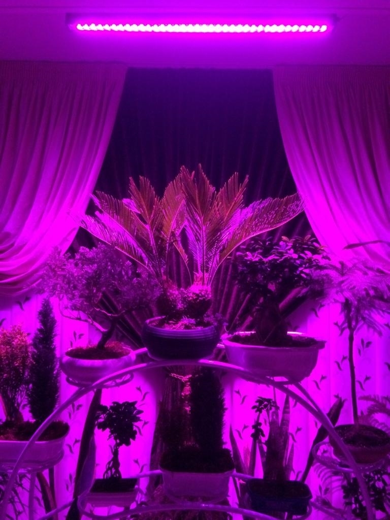 تصویر  وال واشر  ال ای دی رشد گیاه 36 وات یک متری