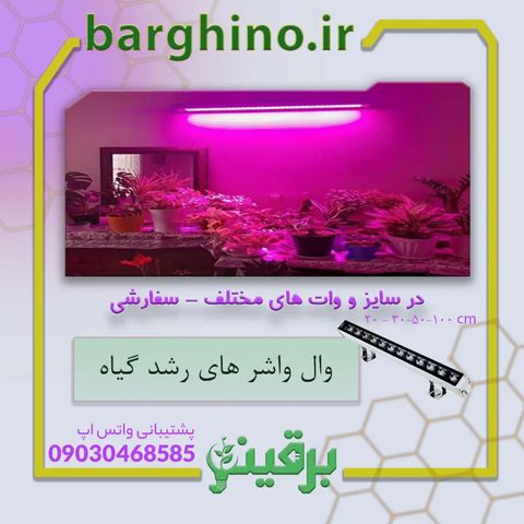 📌وال واشرهای رشد گیاه🌱

📝مونتاژ انواع وال واشر رشد گیاه با توجه به نیاز شما ( ترکیبی)و فول اسپکتروم در وات و سایز های مختلف
 
💰جهت اطلاع از قیمت میتوانید از طریق دایرکت، واتس اپ، تماس و سایت برقینو با ما در ارتباط باشید.

🧾نحوه ثبت سفارش :
🏬دریافت حضوری بعد از ثبت و پرداخت سفارش امکان پذیر می‌باشد.
🛒خرید از سایت barghino.ir#
📝یا ارسال نام و نام خانوادگی، آدرس، شماره تماس و نام محصول در  واتس اپ 
✍️بعد از ثبت سفارش فاکتور برای شما صادر خواهد شد و بعد از تسویه کالا ارسال خواهد شد .
📦نحوه ارسال :
مطابق با آدرس و حجم سفارش، امکان ارسال از طریق پست، تیپاکس، شرکت های باربری و پیک موتوری می باشد.

📌جهت ثبت سفارش و مشاوره، بهتر است از طریق واتس اپ به شماره ۹۰۳۰۴۶۸۵۸۵ پیام دهید.

#وال_واشر
#وال_واشر_ال_ای_دی 
#وال_واشر_رشد_گیاه 
#والواشر_فول_اسپکتروم
#خرید_وال_واشر_رشد_گیاه
#خرید_وال_واشر