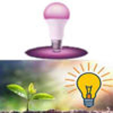 تصویر برای دسته  لامپ رشد گیاه