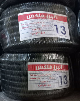 البرز فلکس