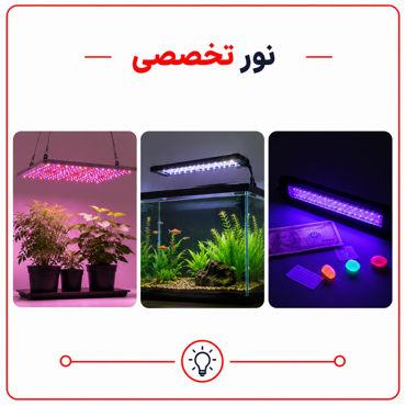 تصویر برای دسته  نور تخصصی