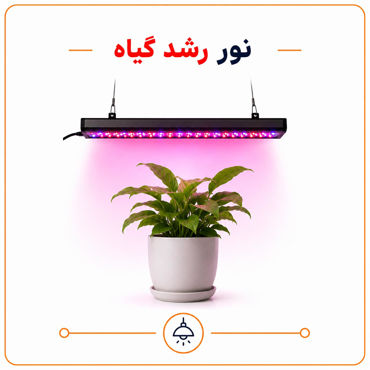 تصویر برای دسته  نور رشد گیاه